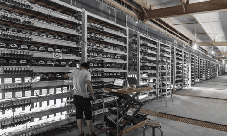 Jingle Mining's Hosting Services